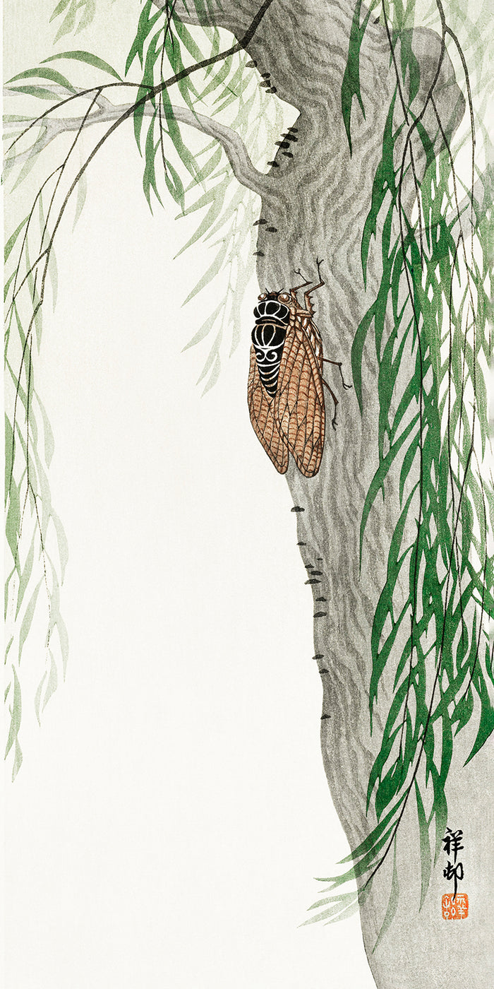 Cicada on tree by Ohara Koson