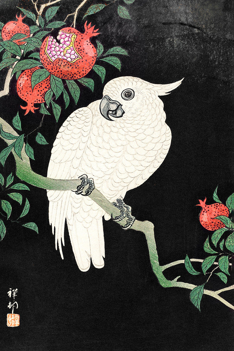 Cockatoo and Pomegranate  by Ohara Koson