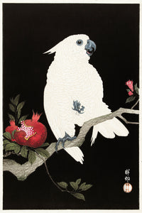 Cockatoo and pomegranate by Ohara Koson