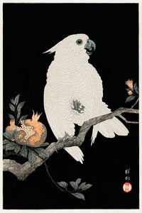 Cockatoo with pomegranate111 by Ohara Koson