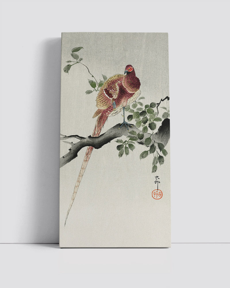 Copper pheasant by Ohara Koson