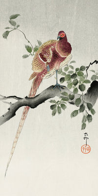 Copper pheasant by Ohara Koson