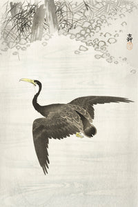 Cormorant in flight by Ohara Koson