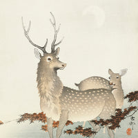 Couple of deers  by Ohara Koson