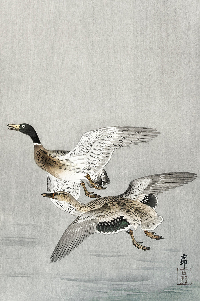 Couple of ducks by Ohara Koson