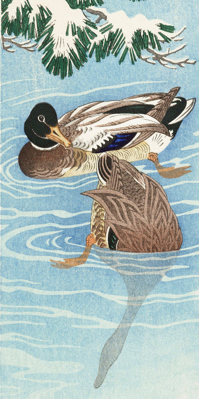 Couple of ducks in the water by Ohara Koson