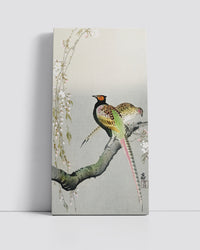 Couple pheasants and cherry blossom by Ohara Koson