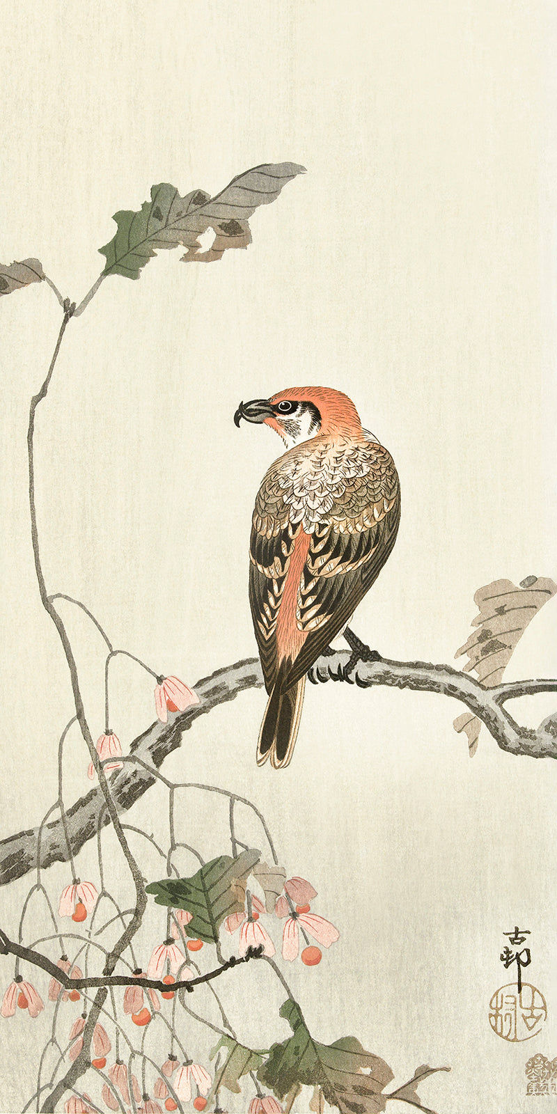 Crossbill on tree branch by Ohara Koson