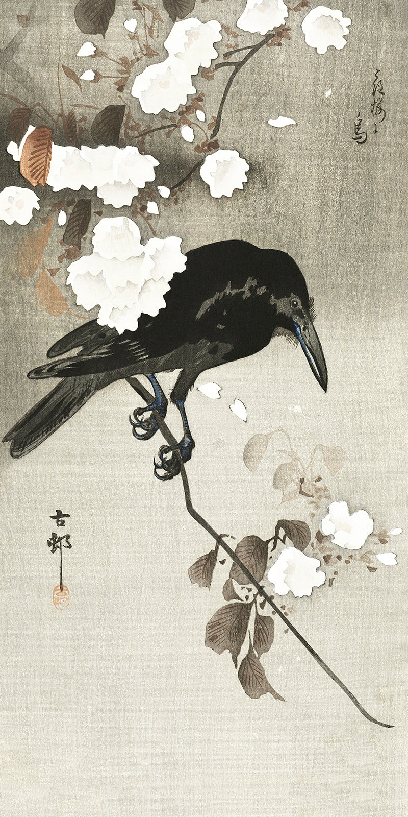 Crow with cherry blossom by Ohara Koson