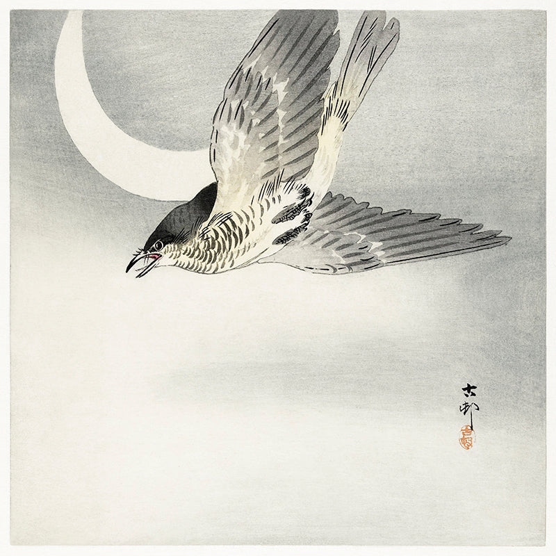 Cuckoo at crescent moon by Ohara Koson