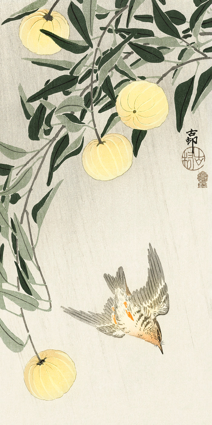 Cuckoo in the rain by Ohara Koson