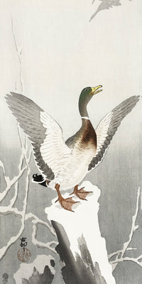 Duck on snowy tree stump by Ohara Koson