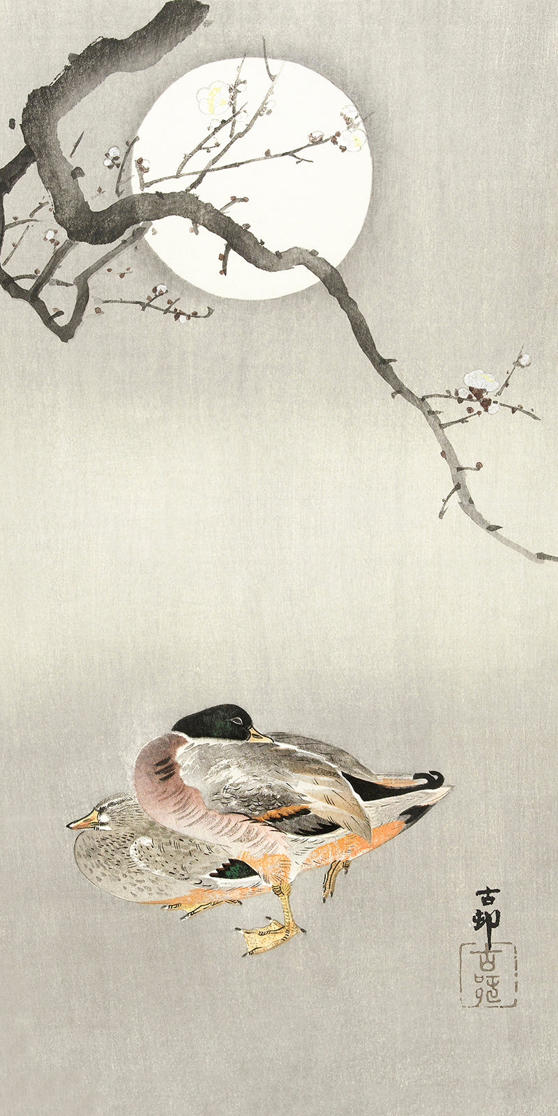 Ducks at full moon by Ohara Koson