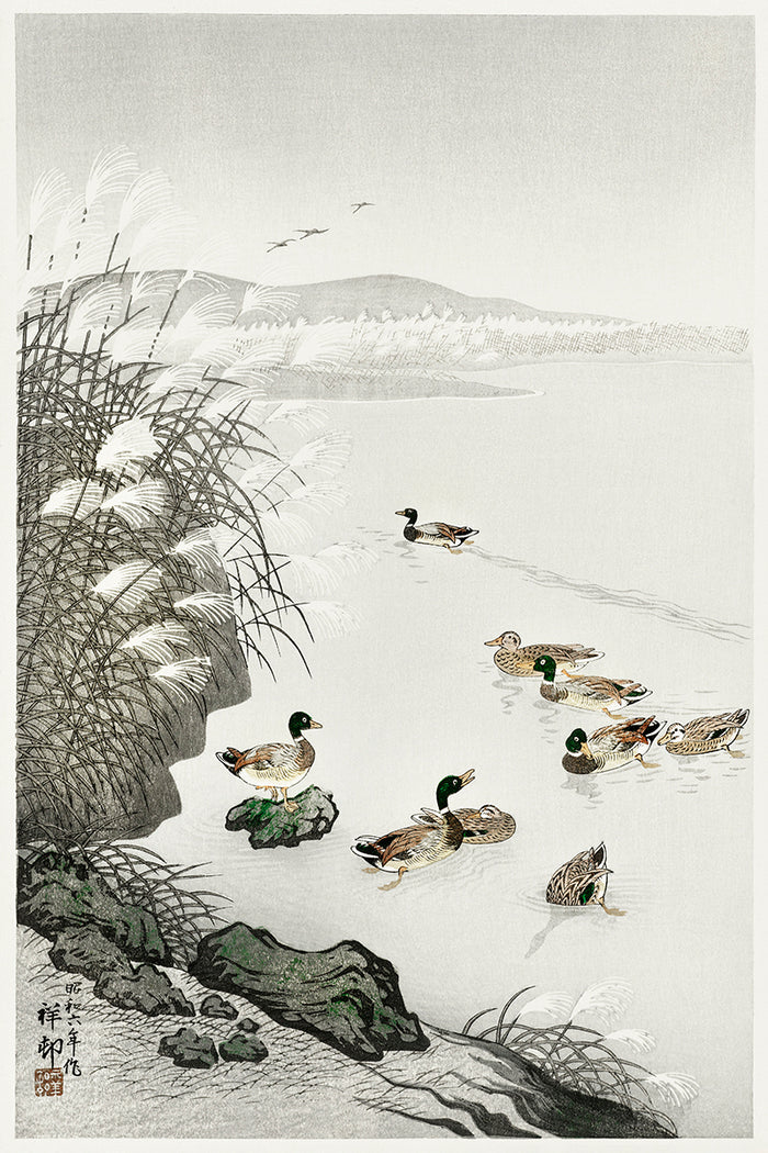 Ducks in the water by Ohara Koson