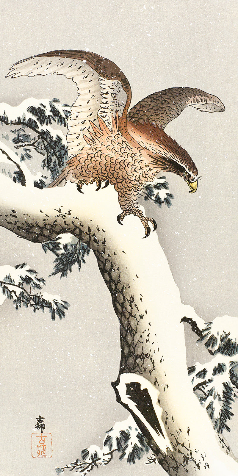 Eagle on a tree branch by Ohara Koson