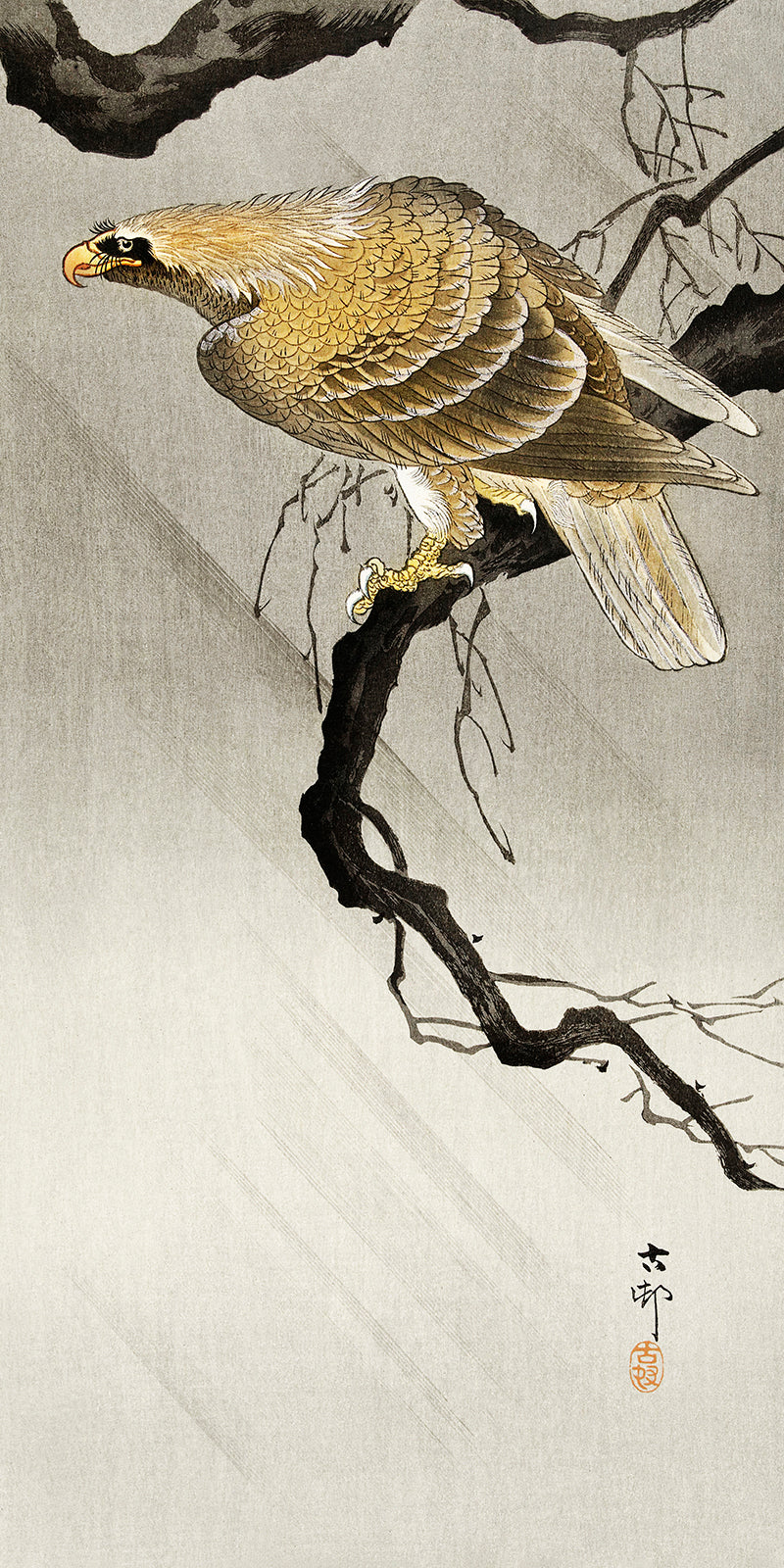 Eagle on branch by Ohara Koson