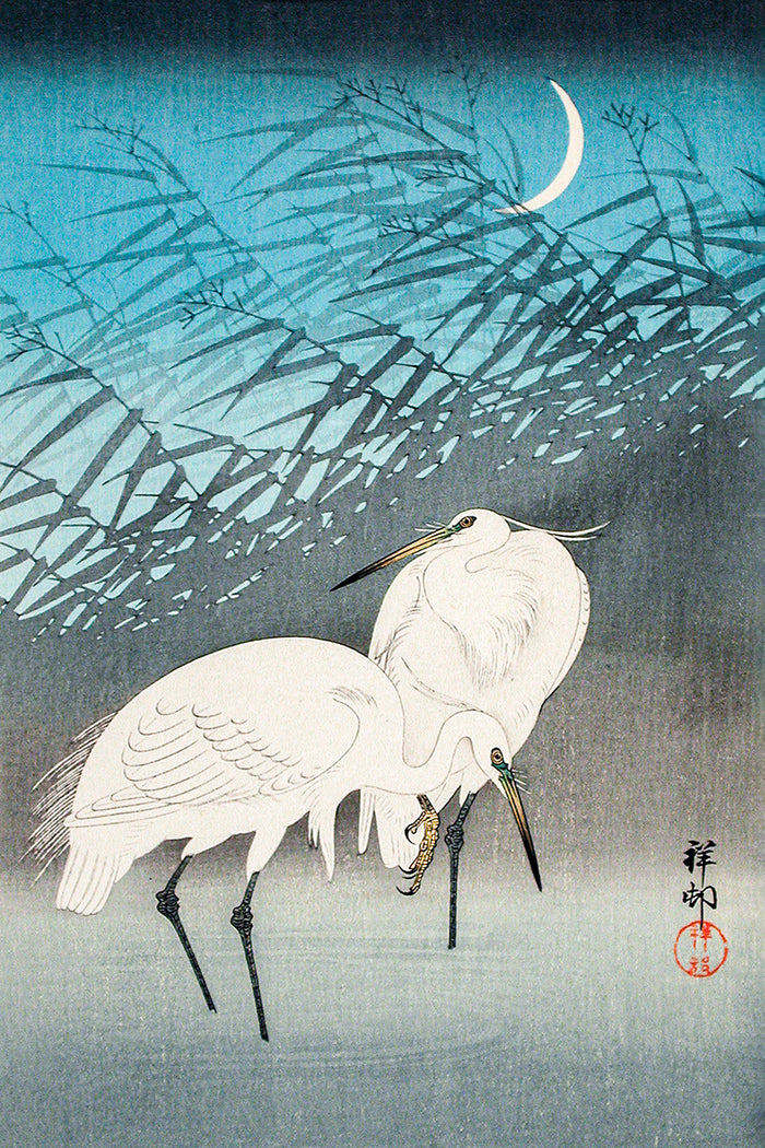 Egrets and Reeds in Moonlight  by Ohara Koson