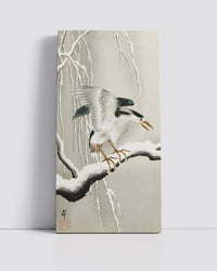 Emerge on snowy branch by Ohara Koson