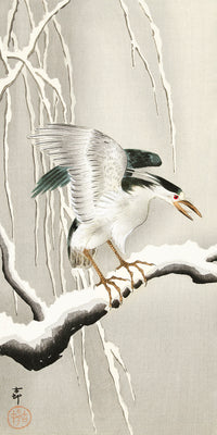 Emerge on snowy branch by Ohara Koson