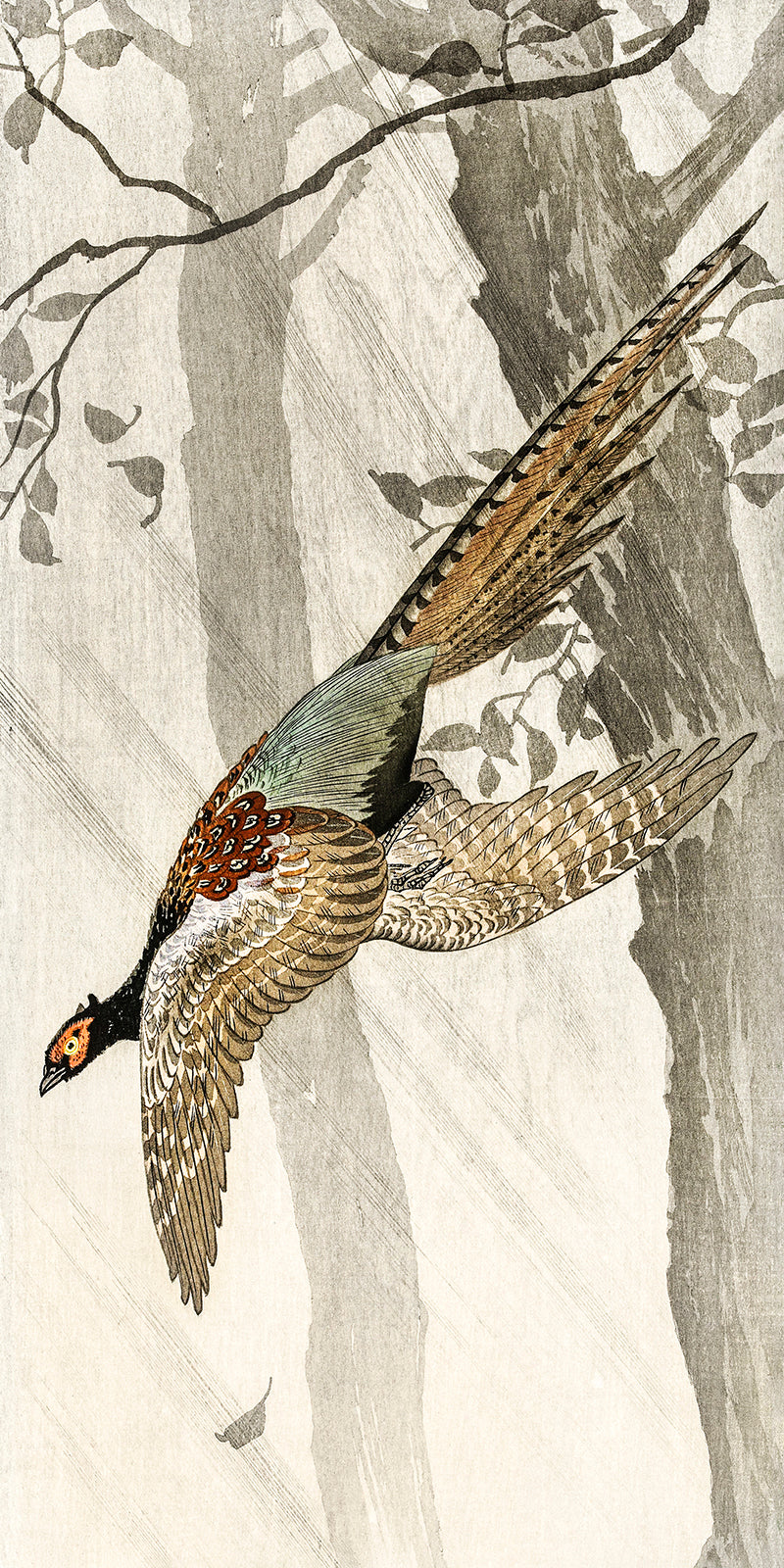 Flying pheasant by Ohara Koson