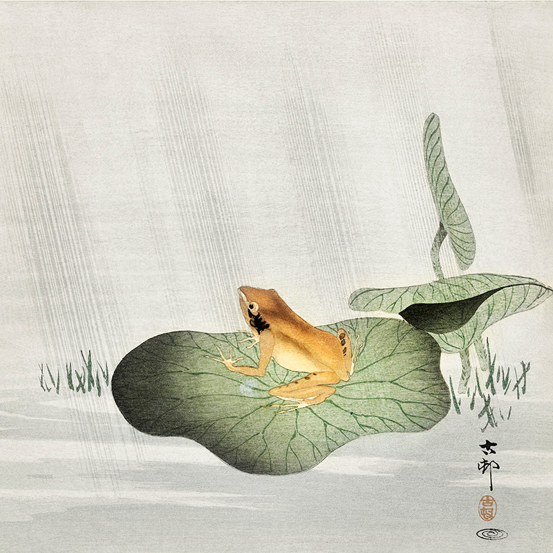 Frog on lotus leaf by Ohara Koson