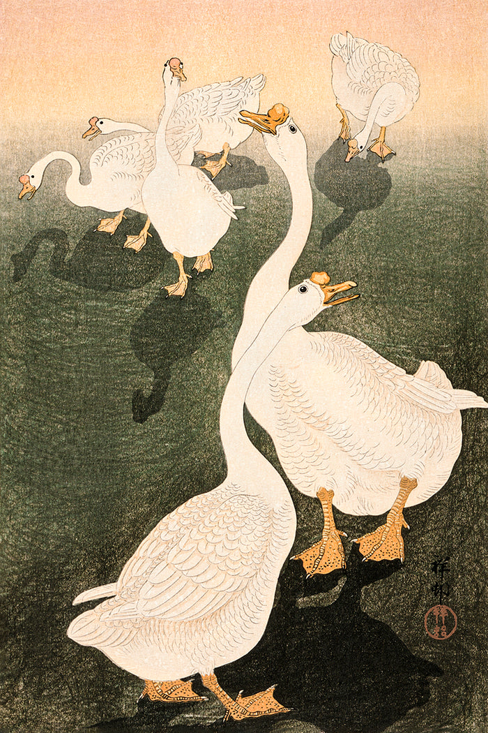 Geese by Ohara Koson