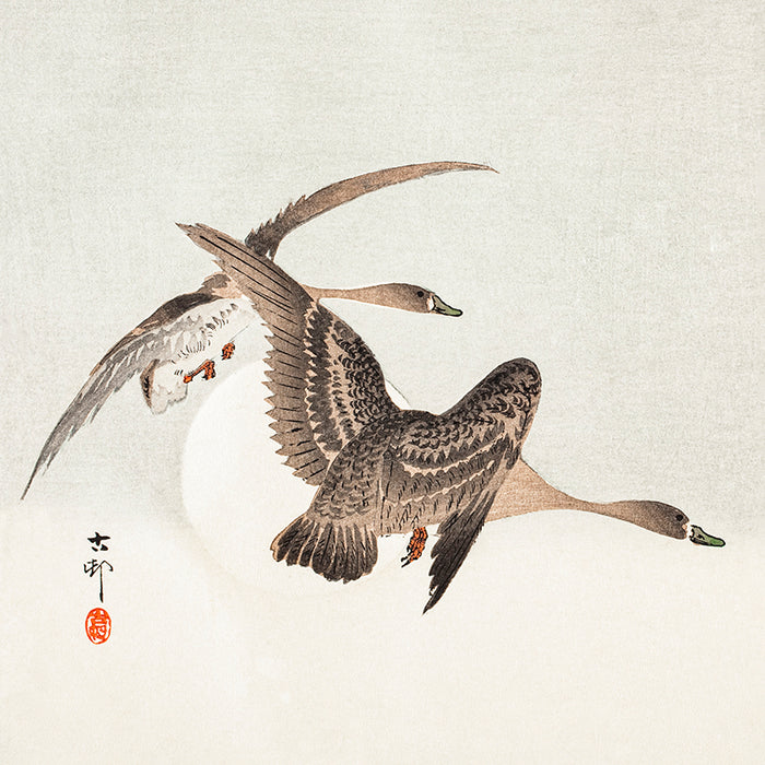 Geese and Full Moon by Ohara Koson