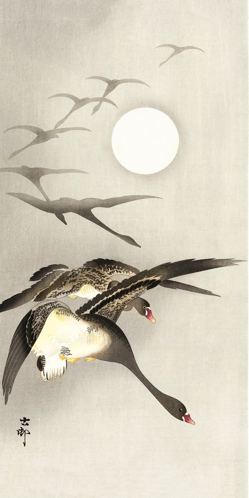 Geese at full moon by Ohara Koson