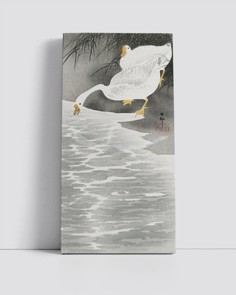 Geese on the shore by Ohara Koson