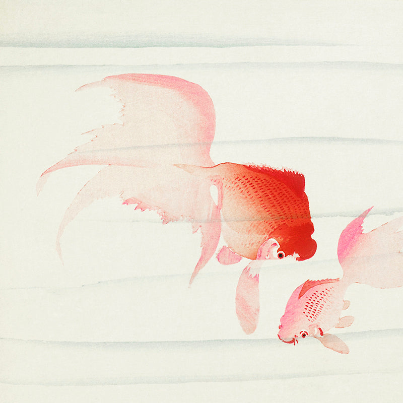 Gold fish by Ohara Koson