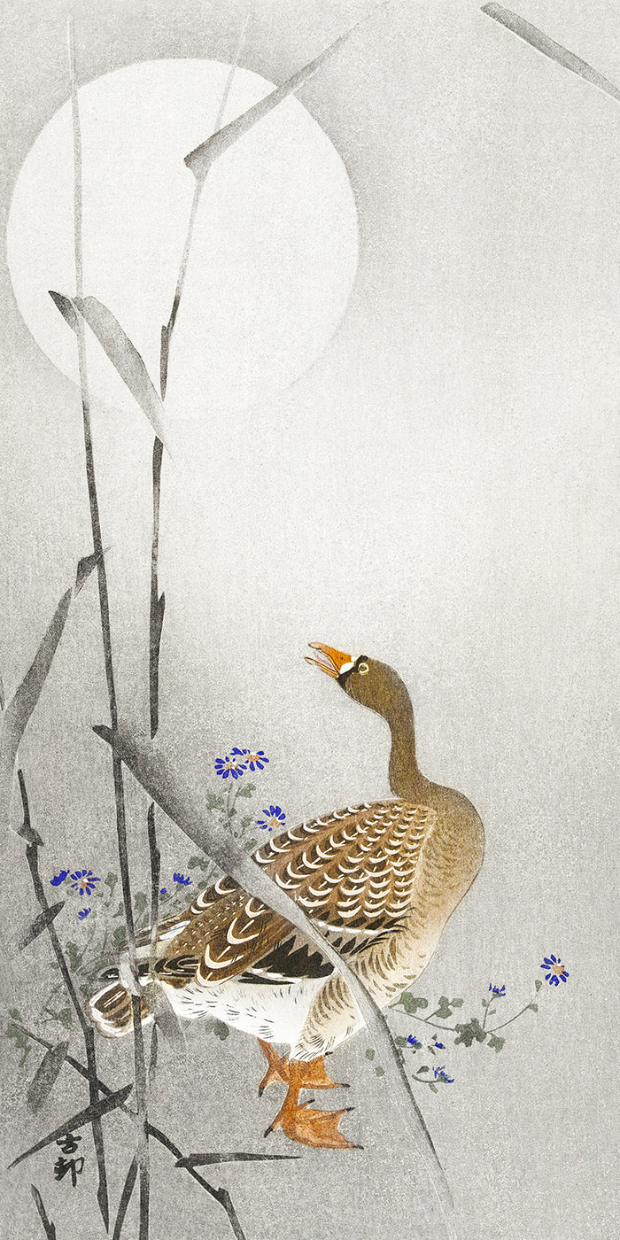 Goose at full moon by Ohara Koson