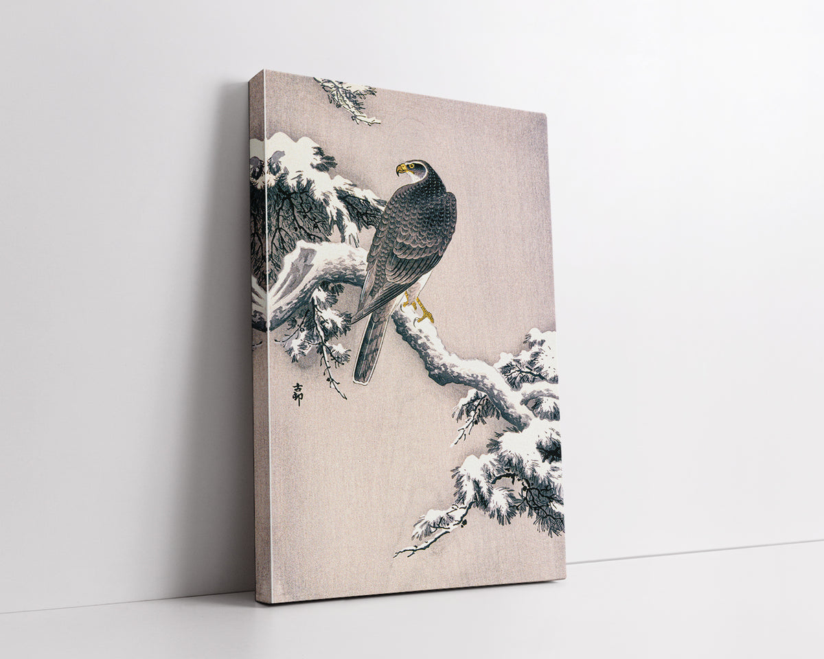 Goshawk on Snow-covered Pine Bough by Ohara Koson