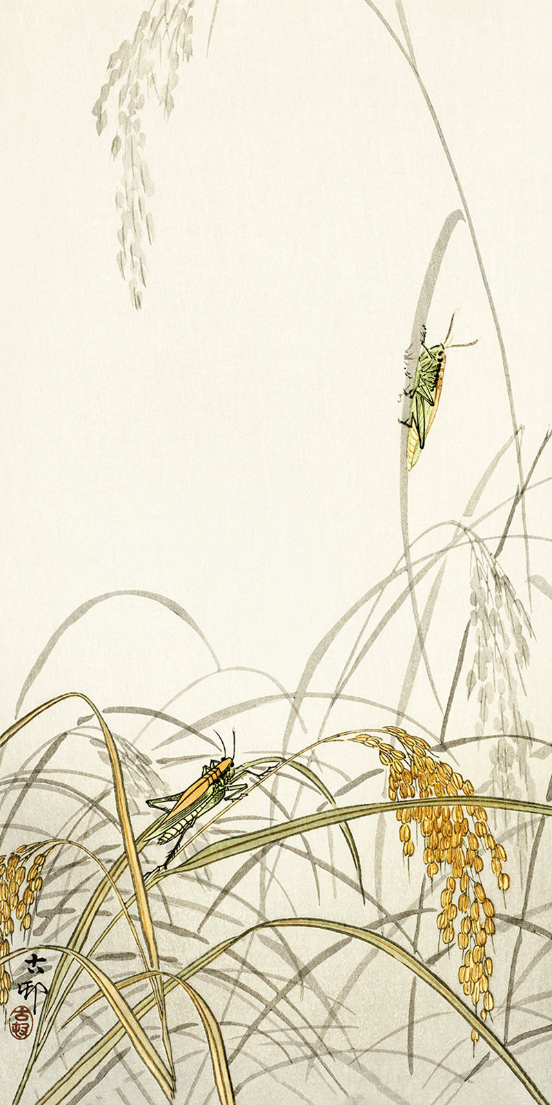 Grasshoppers on rice plants by Ohara Koson