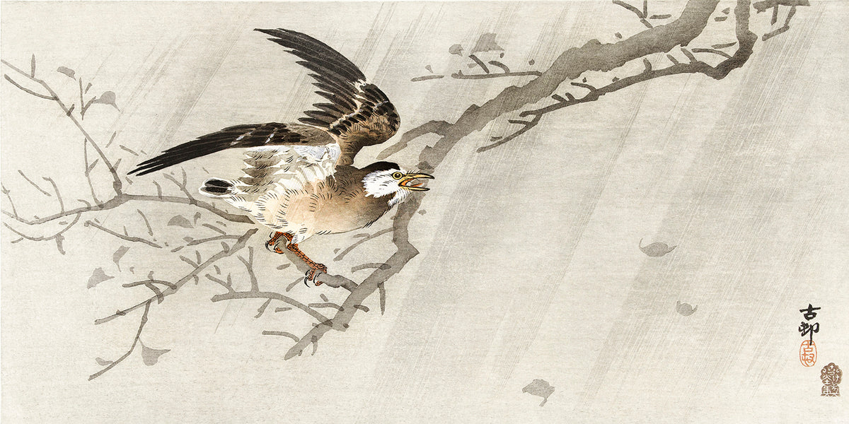 Gray starling in storm by Ohara Koson