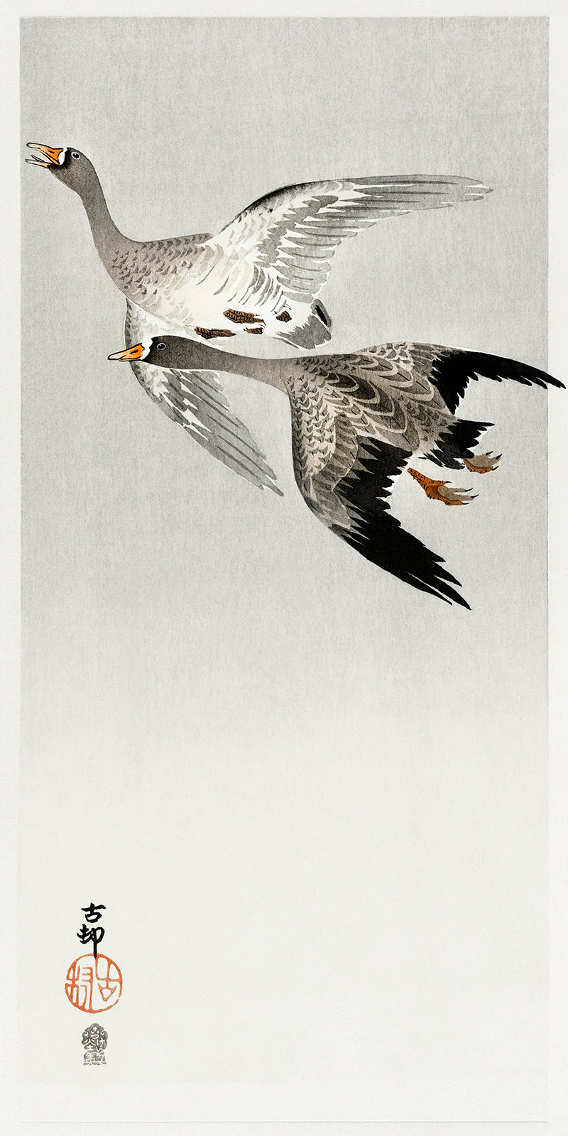 Great geese, flying in the snow by Ohara Koson