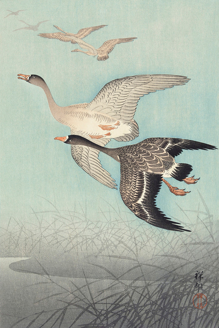 Great geese in flight by Ohara Koson