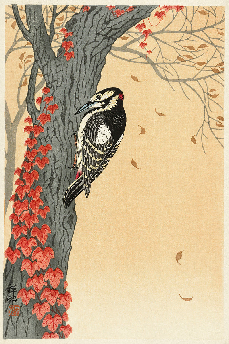 Great spotted woodpecker by Ohara Koson