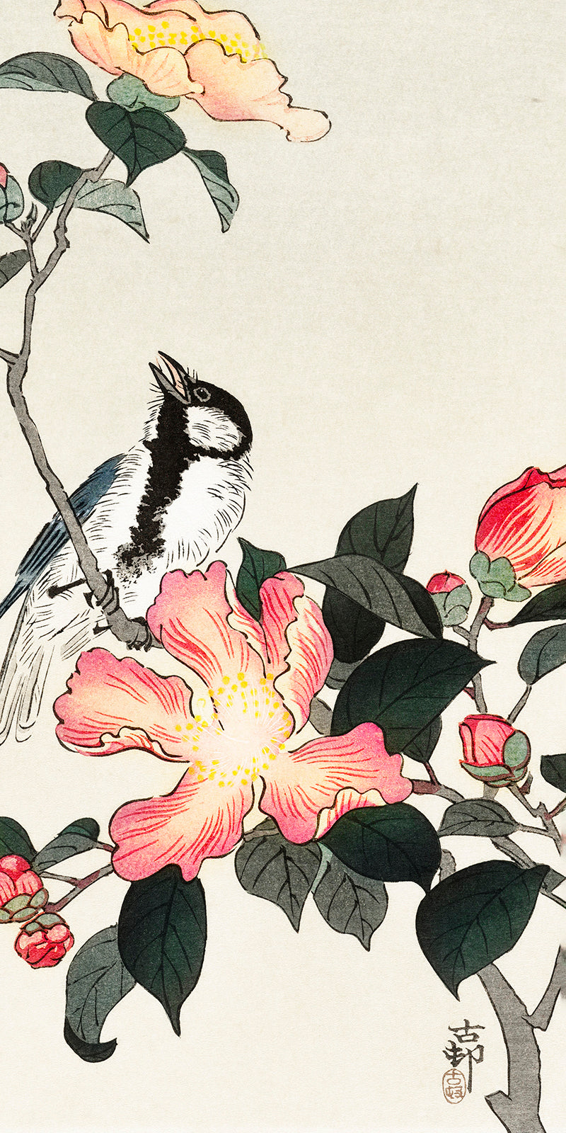 Great tit on branch with pink flowers by Ohara Koson