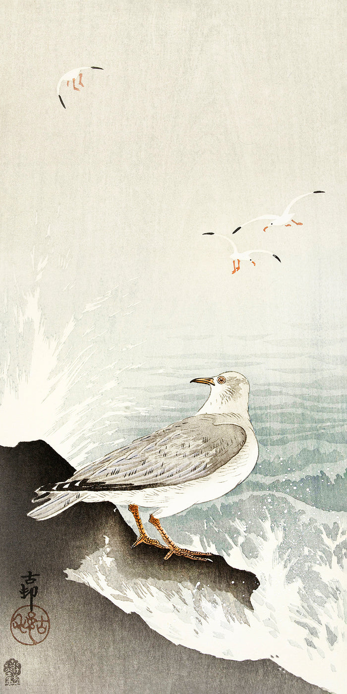 Gull on rock by Ohara Koson