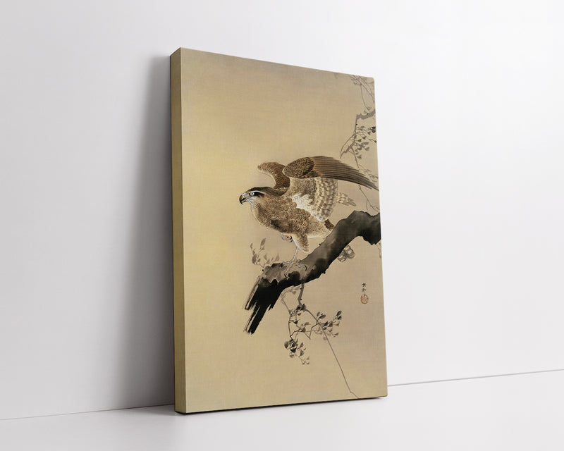 Hawk by Ohara Koson