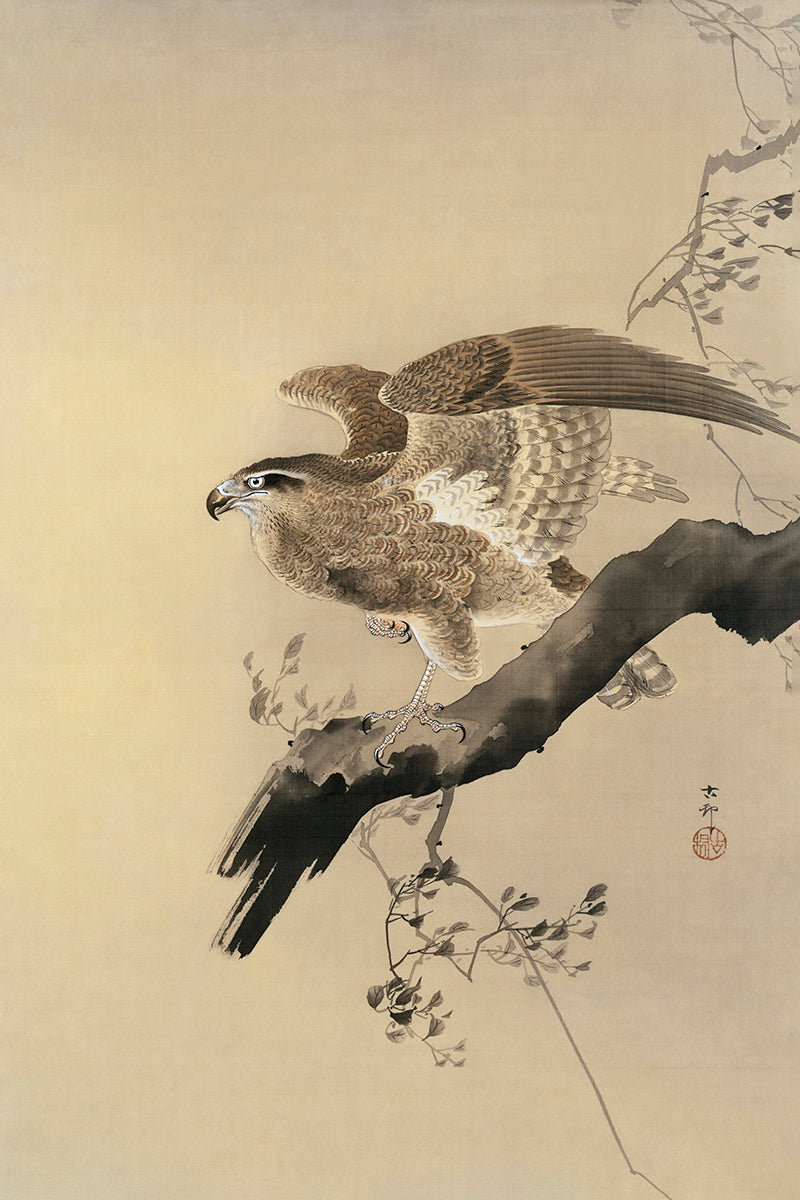 Hawk by Ohara Koson