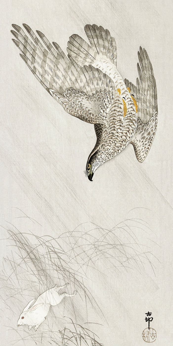 Hawk hunting a hare by Ohara Koson