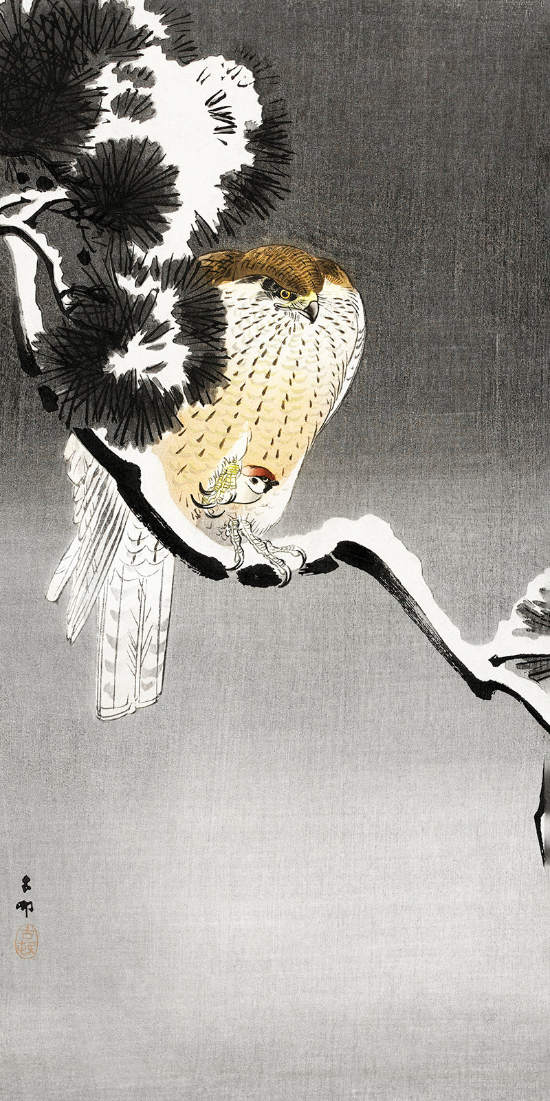 Hawk with sparrow by Ohara Koson