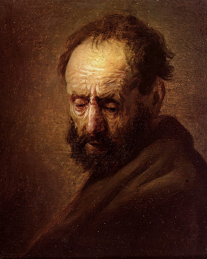 Head of a Bearded Man by Rembrandt Harmenszoon van Rijn