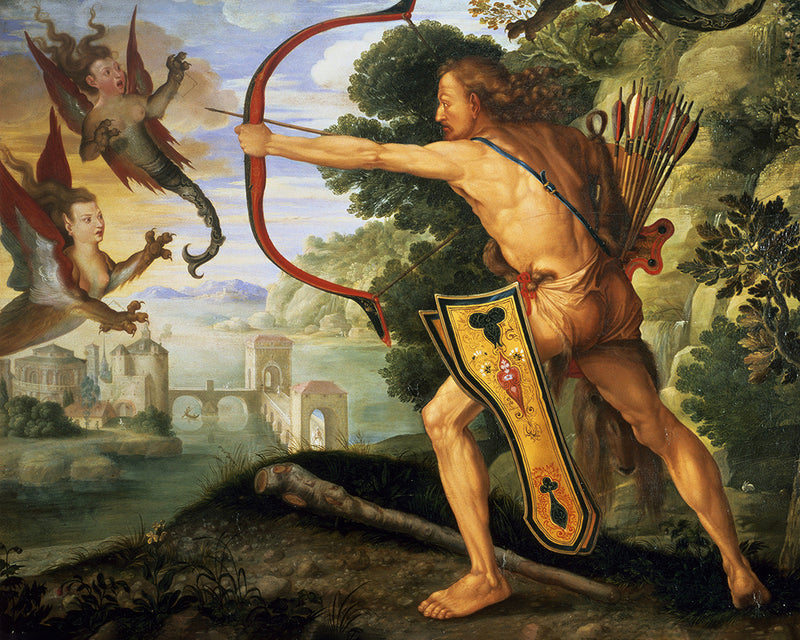 Hercules and the Stymphalian Birds by Albrecht Durer