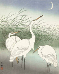 Herons in shallow water by Ohara Koson