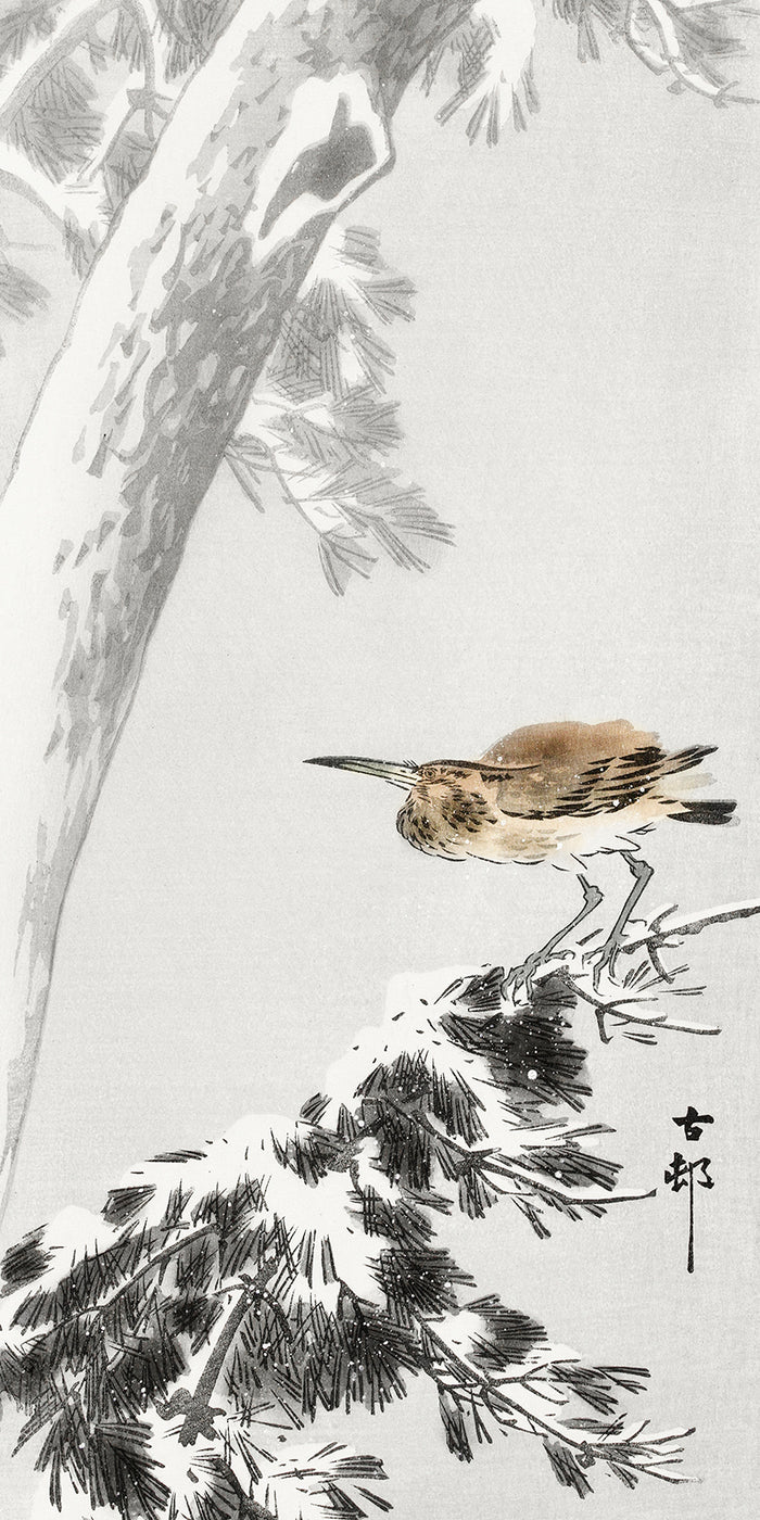 Indian quack on snowy tree branch by Ohara Koson