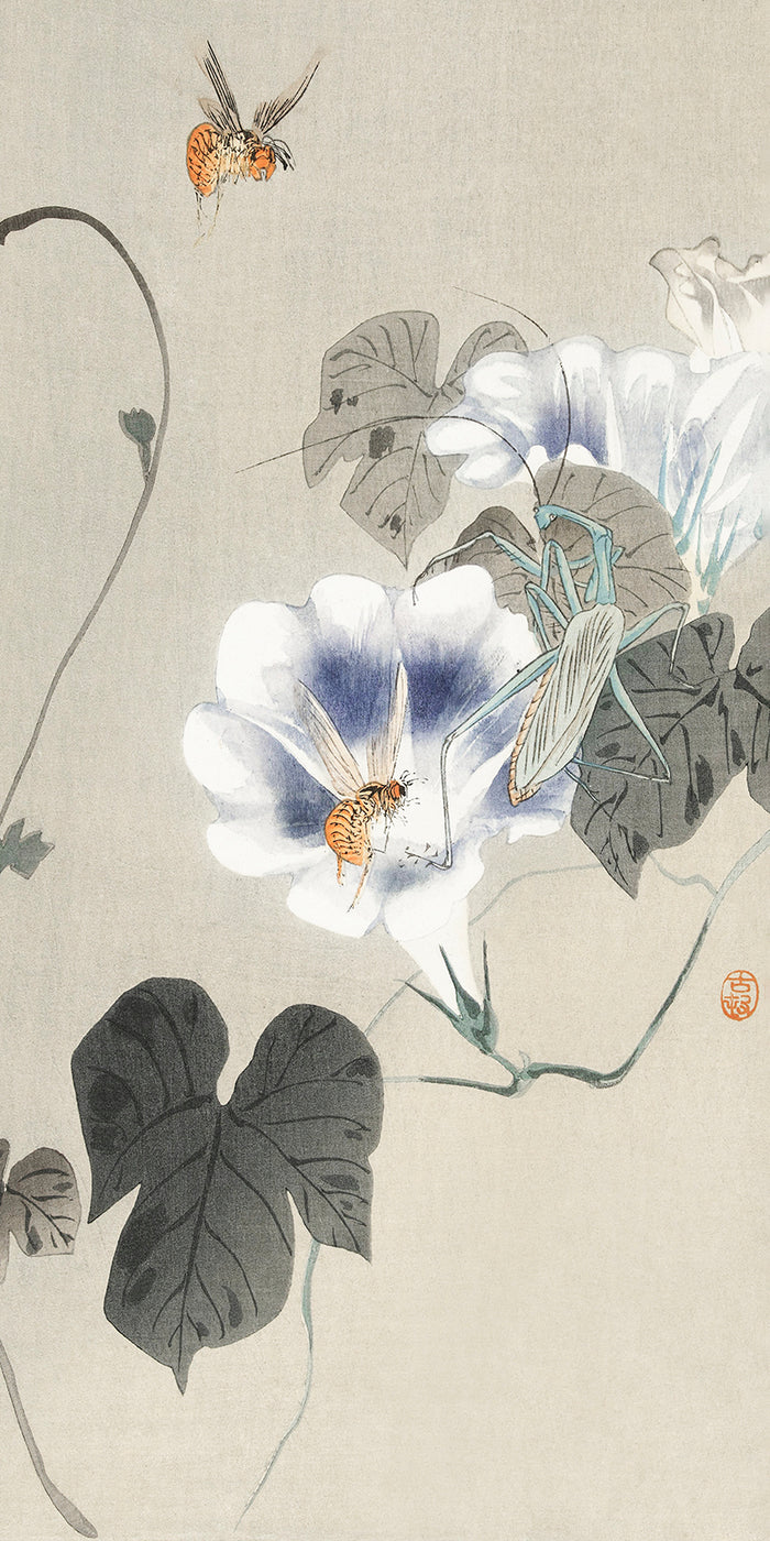 Insects near bindweed by Ohara Koson