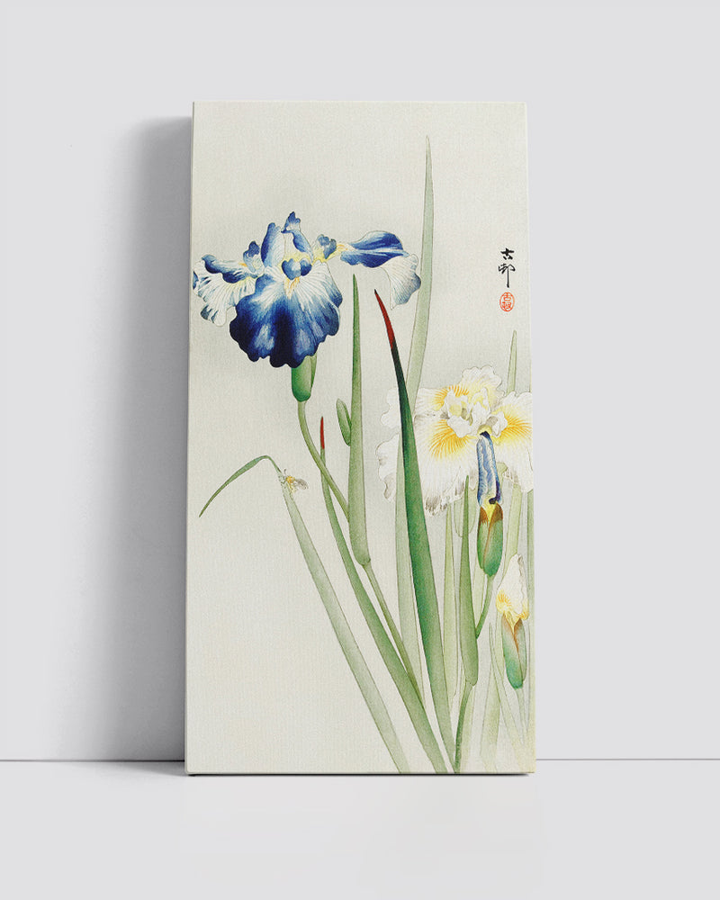 Irises by Ohara Koson