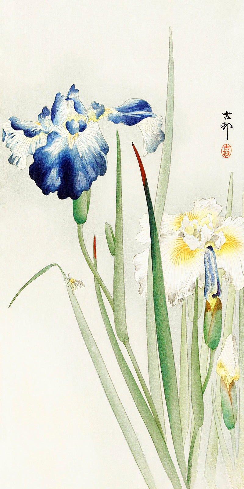 Irises by Ohara Koson